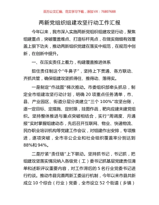 两新党组织组建攻坚行动工作汇报.docx