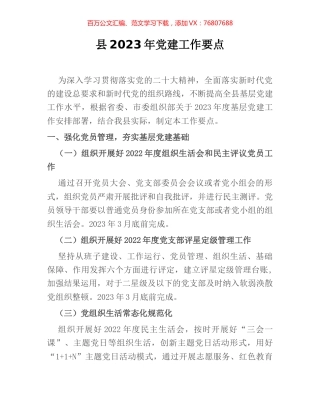 县2023年党建工作要点.docx