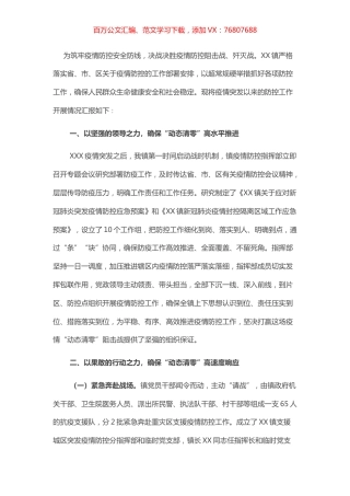 乡镇突发疫情防控工作总结.docx
