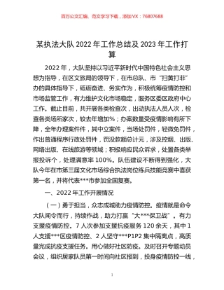 -某执法大队2022年工作总结及2023年工作打算.docx