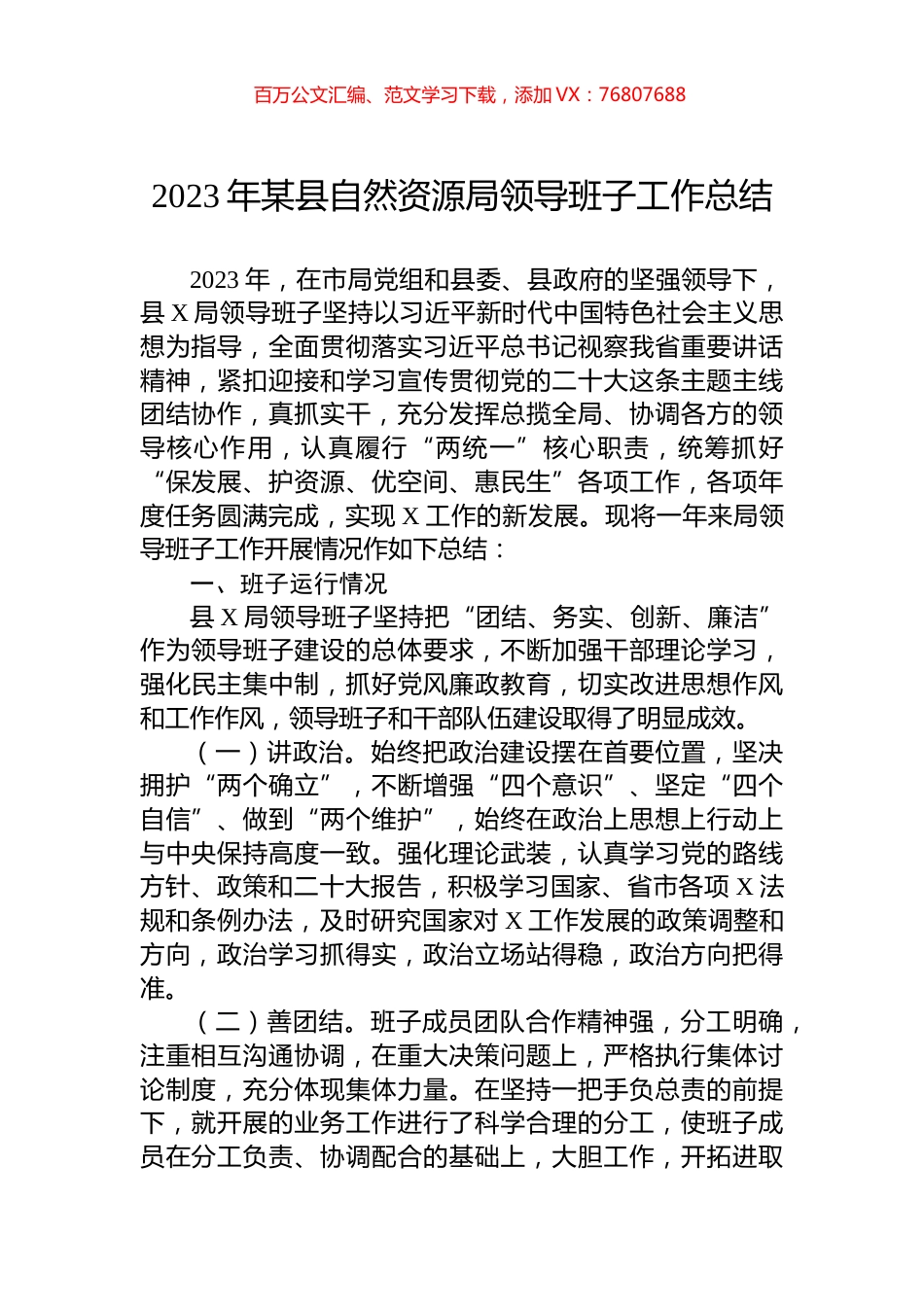 2023年某县自然资源局领导班子工作总结.docx_第1页