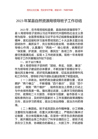 2023年某县自然资源局领导班子工作总结.docx