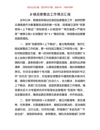 乡镇巡察整改工作情况汇报.docx