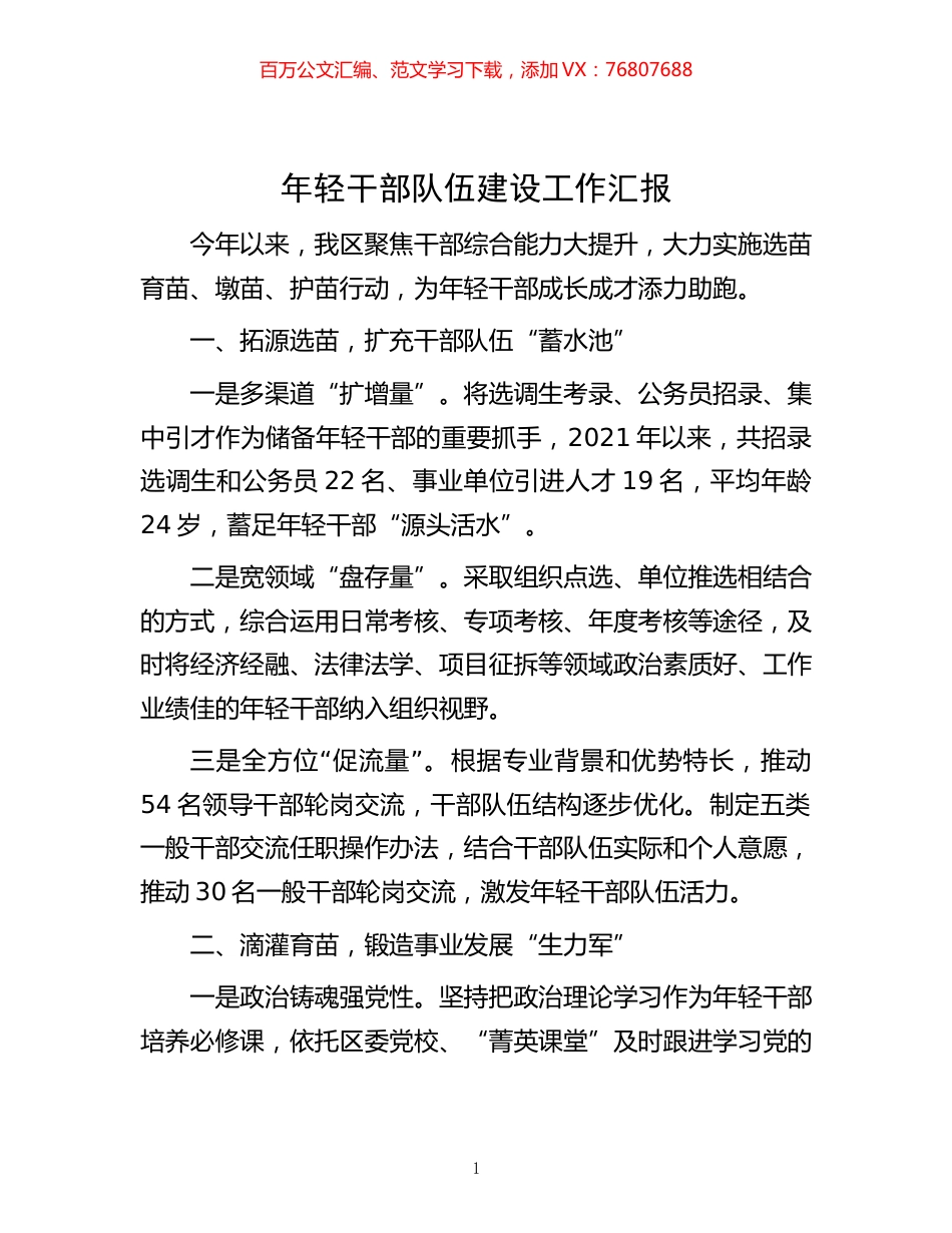 -年轻干部队伍建设工作汇报.docx_第1页