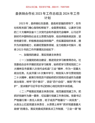 县供销合作社2023年工作总结及2024年工作计划.docx