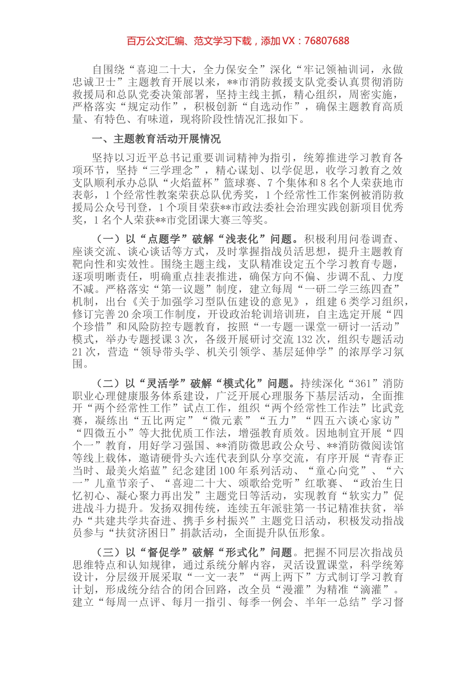 某消防救援支队主题教育阶段性总结报告.docx_第1页