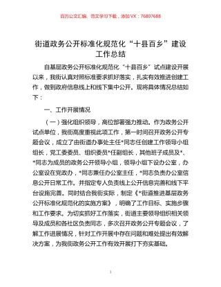 -街道政务公开标准化规范化“十县百乡”建设工作总结.docx