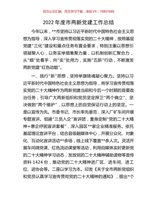 2022年度市两新党建工作总结.docx