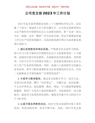 公司党支部2023年工作计划.docx