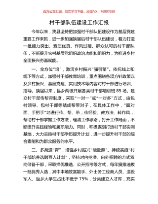 村干部队伍建设工作汇报.docx
