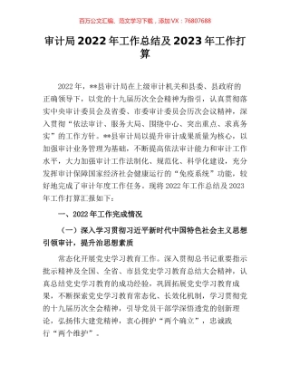 审计局2022年工作总结及2023年工作打算.docx