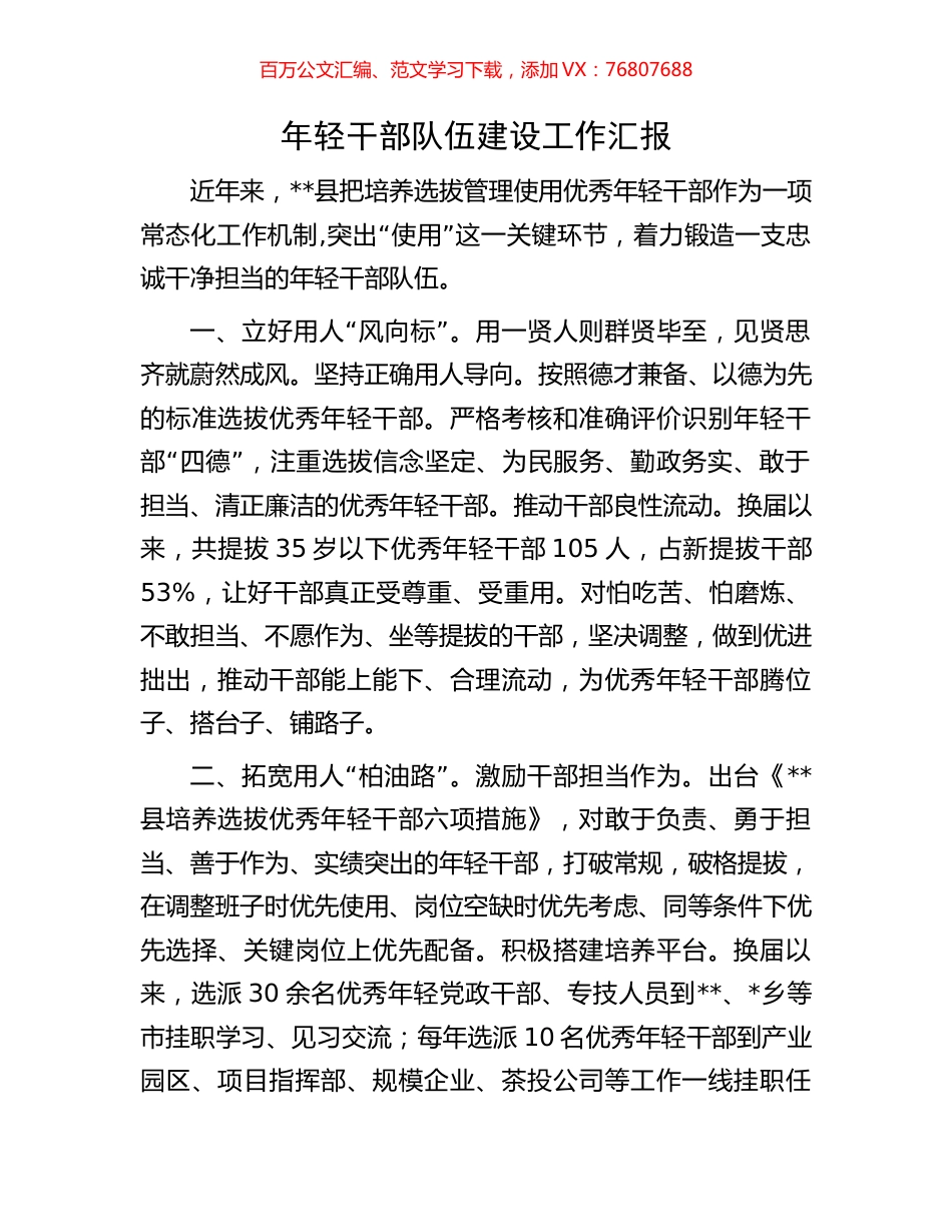 年轻干部队伍建设工作汇报.docx_第1页