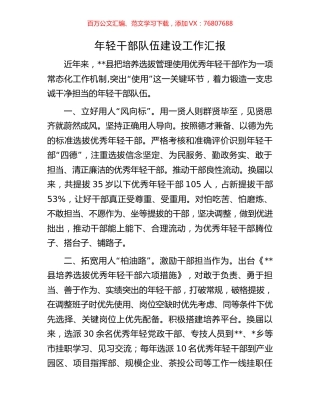 年轻干部队伍建设工作汇报.docx
