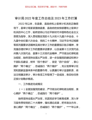 -审计局2022年度工作总结及2023年工作打算.docx