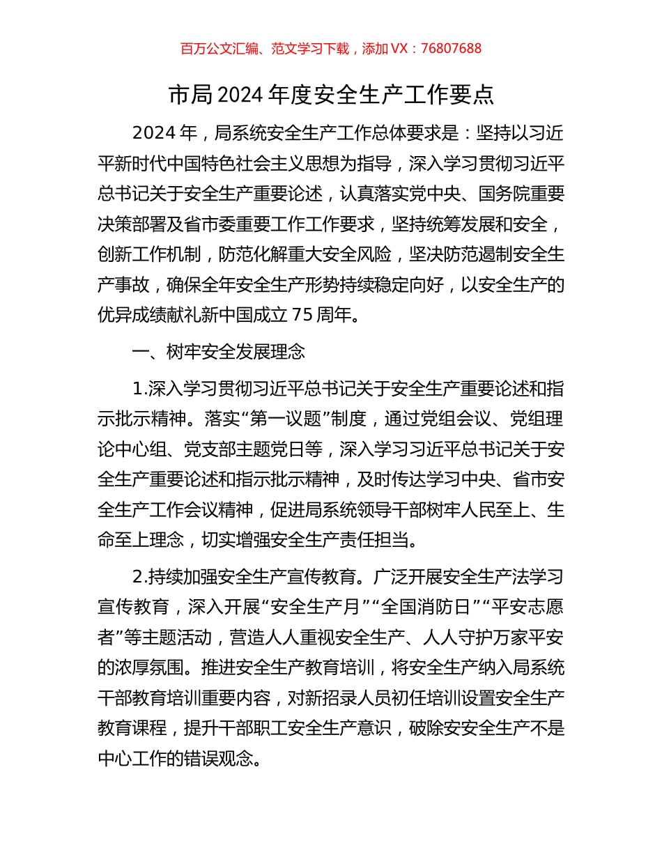 市局2024年度安全生产工作要点.docx_第1页