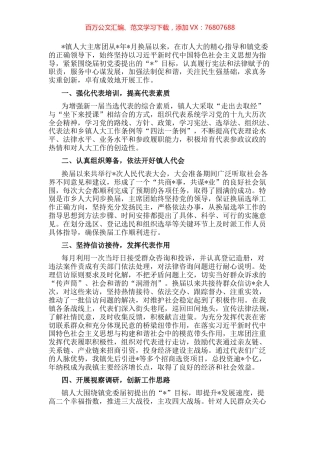 镇人大主席团工作汇报.docx