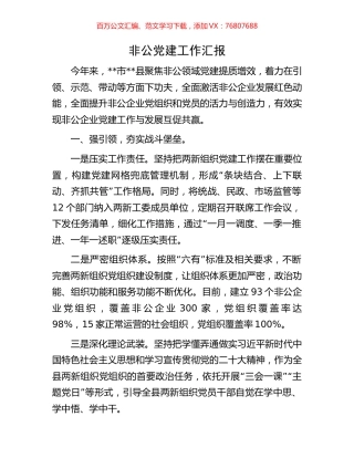 非公党建工作汇报.docx