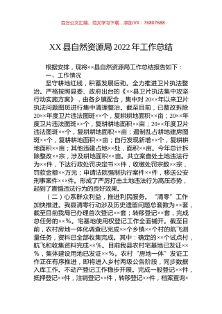 县自然资源局2022年工作总结.docx