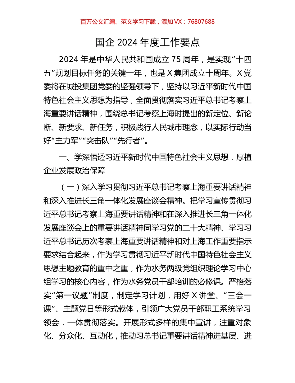 国企2024年度工作要点.docx_第1页