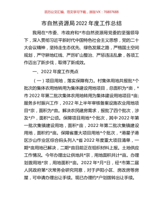 市自然资源局2022年度工作总结.docx