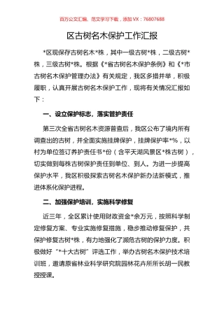 区古树名木保护工作汇报.docx
