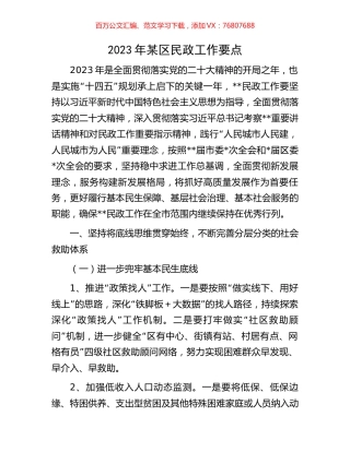 2023年某区民政工作要点.docx