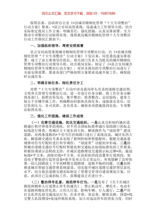 县公安局城市精细化管理十大专项整治行动工作情况汇报.docx