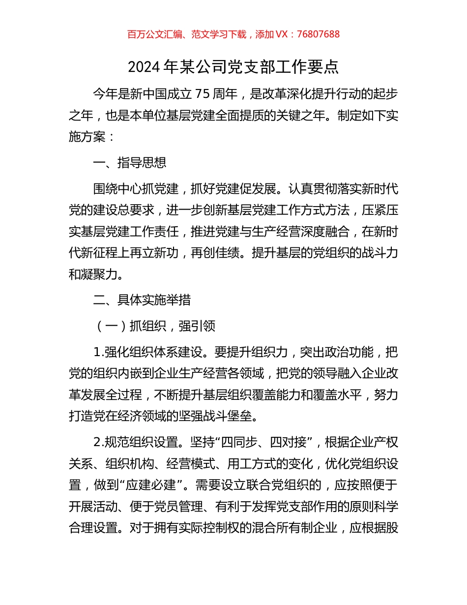 2024年某公司党支部工作要点.docx_第1页