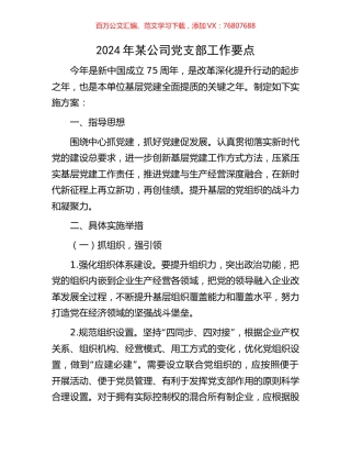 2024年某公司党支部工作要点.docx