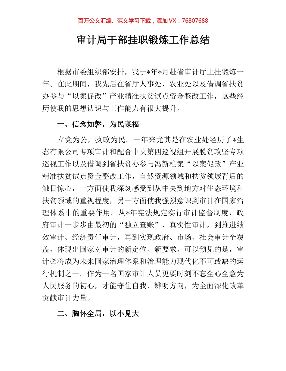 审计局干部挂职锻炼工作总结.docx_第1页