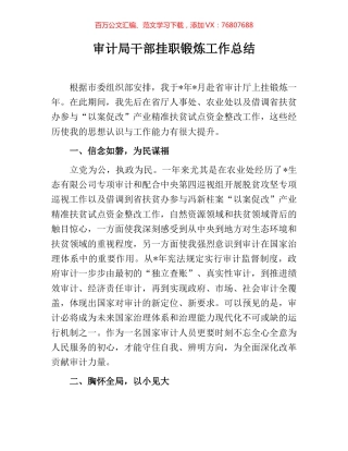 审计局干部挂职锻炼工作总结.docx