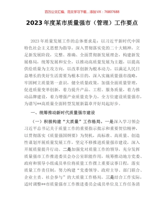 2023年度某市质量强市（管理）工作要点.docx