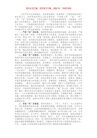 某区农村带头人队伍建设汇报提纲.docx