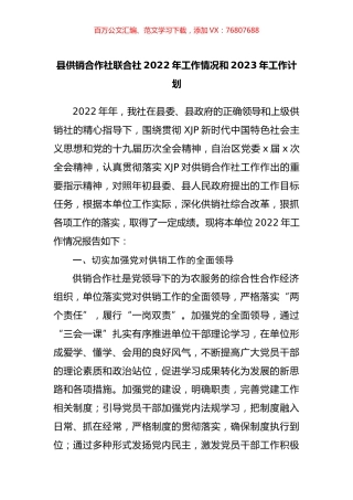 县供销合作社联合社2022年工作情况和2023年工作计划.docx