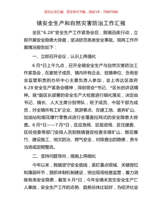 镇安全生产和自然灾害防治工作汇报.docx