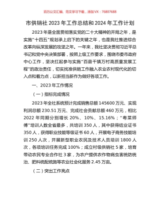 市供销社2023年工作总结和2024年工作计划.docx