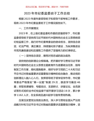 2023年市纪委监委班子工作总结.docx