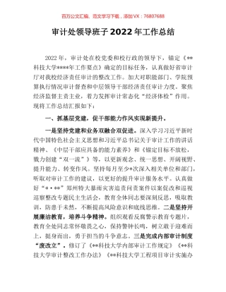 审计处领导班子2022年工作总结.docx