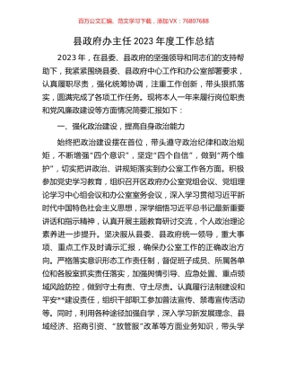 县政府办主任2023年度工作总结.docx