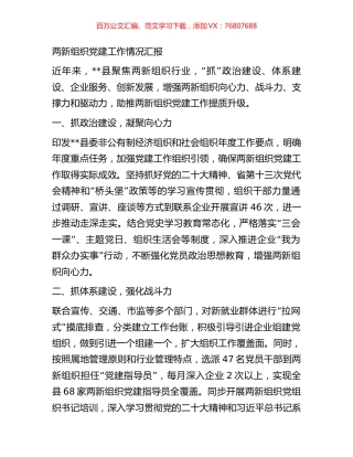 两新组织党建工作情况汇报.docx