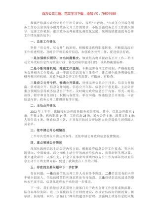 镇人民政府2022年政务公开工作汇报.docx