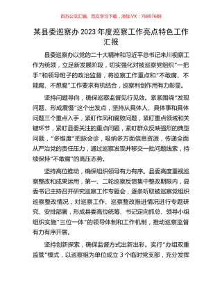 某县委巡察办2023年度巡察工作亮点特色工作汇报.docx