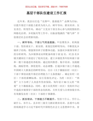 基层干部队伍建设工作汇报.docx