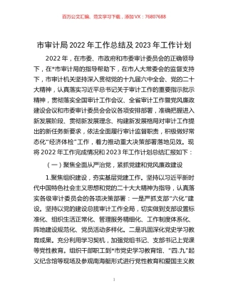 -市审计局2022年工作总结及2023年工作计划.docx
