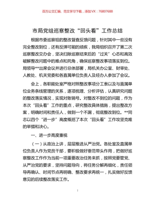 市局党组巡察整改“回头看”工作总结.docx