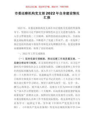 市委巡察机构党支部2022年自身建设情况汇报 (2).docx