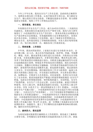 县旅游体育局2022上半年安全生产工作汇报.docx