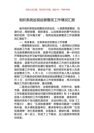 组织系统巡视巡察整改工作情况汇报.docx