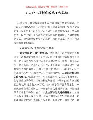 某央企三项制度改革工作总结.docx