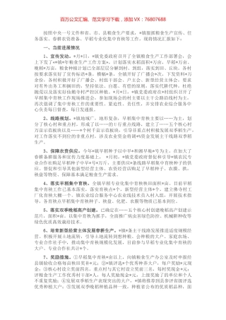 镇2022年粮食生产工作汇报.docx